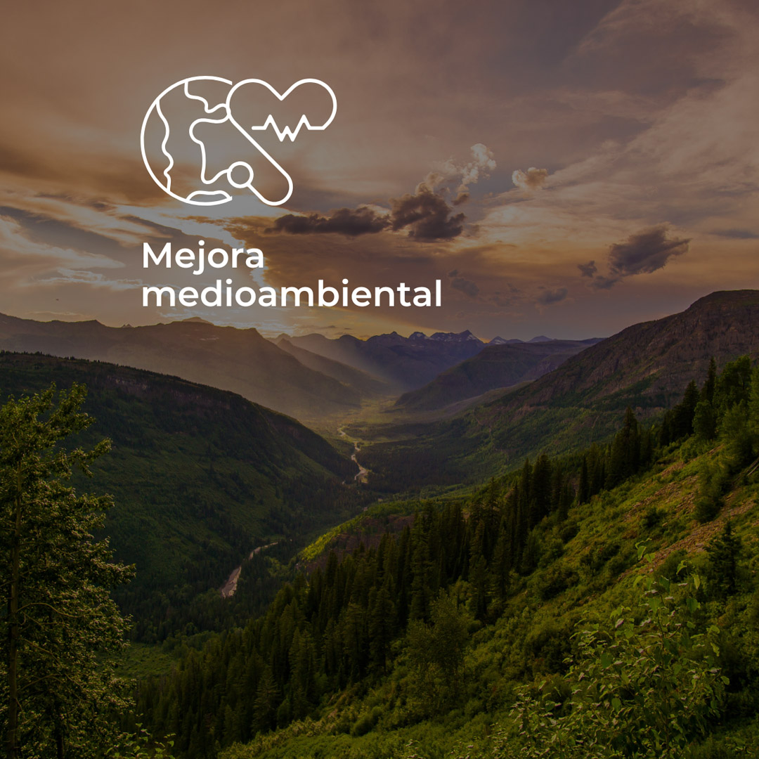 Mejora medioambiental. Reducción de las emisiones de CO2